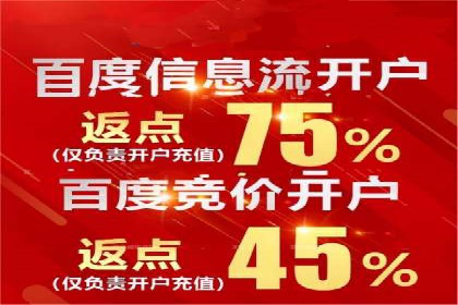 百度竞价排名案例：如何应对竞争对手的挑战